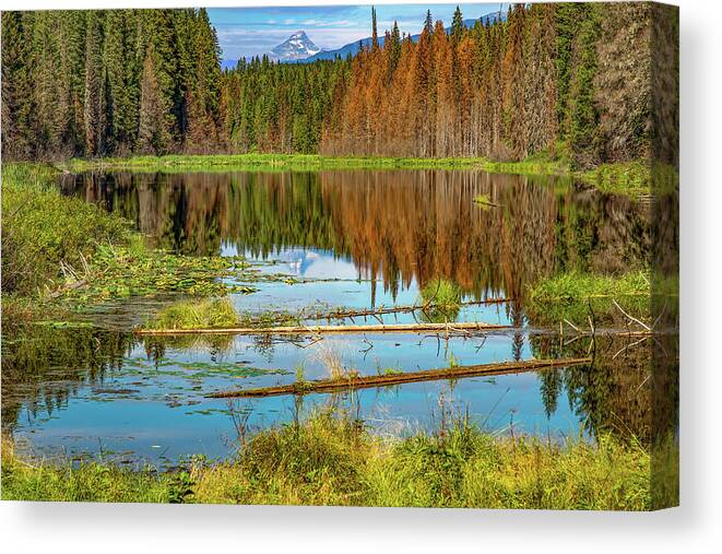Shadow Lake Canvas Print featuring the photograph Shadow Lake by Michael DeGrenier