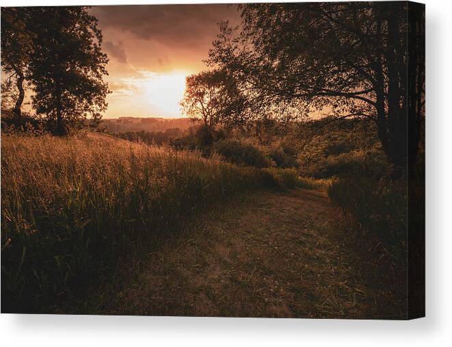 Trexler Canvas Print featuring the photograph Shady Sunset by Jason Fink