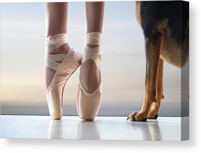 Dance Canvas Print featuring the photograph Shall We Dance - On Pointe by Laura Fasulo
