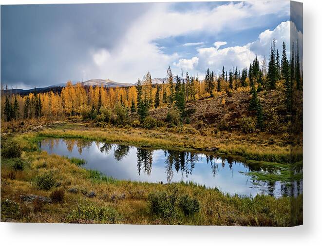 Co Canvas Print featuring the photograph Shallow Reflection by Lana Trussell