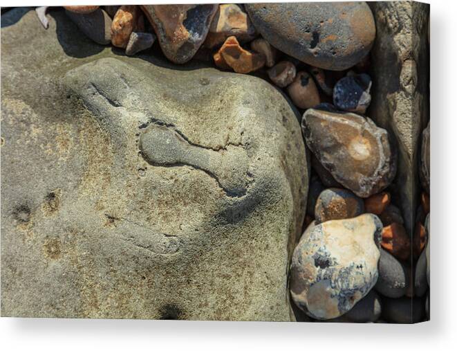 United Kingdom Canvas Print featuring the photograph Shape in pebbles by Richard Donovan
