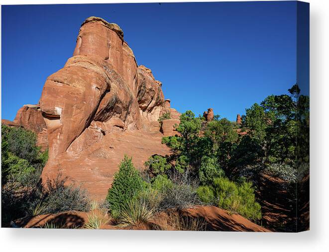 Arches National Park Canvas Print featuring the photograph Ship Emerging by Ron Long Ltd Photography