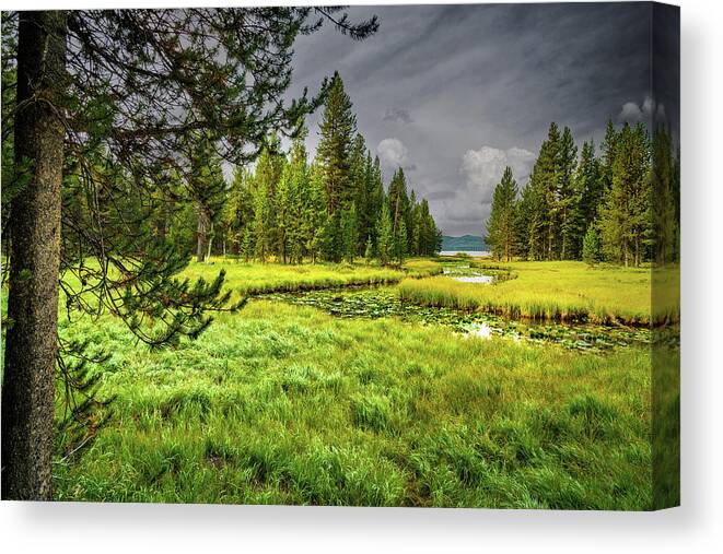 Yellowstone Canvas Print featuring the photograph Shoshone Meadow by Gary Felton
