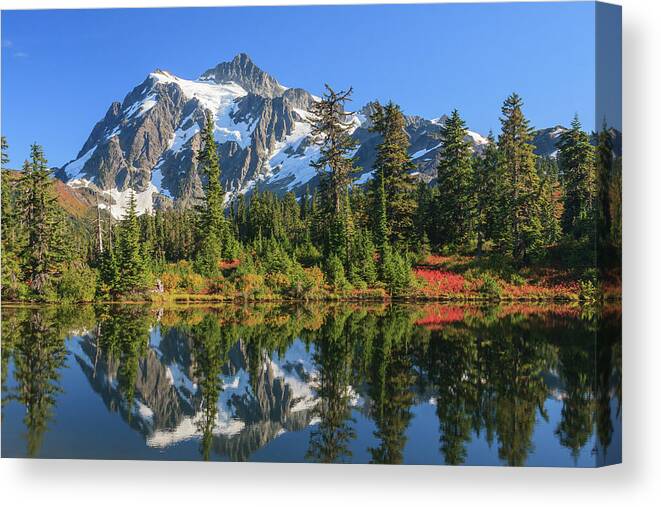 Mt. Shuksan Canvas Print featuring the photograph Shuksan Reflection by Michael Rauwolf