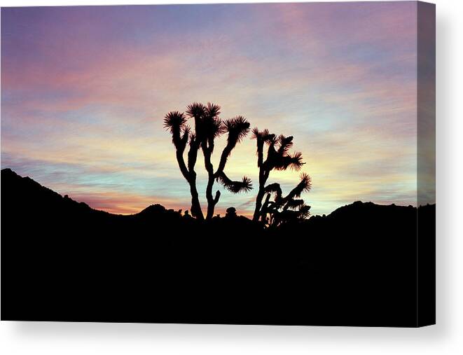 Tom Daniel Canvas Print featuring the photograph Silhouette Colors by Tom Daniel