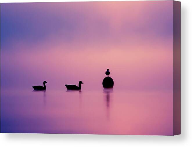 Silhouette Canvas Print featuring the photograph Silhouette Series - Empty Spaces by Roeselien Raimond