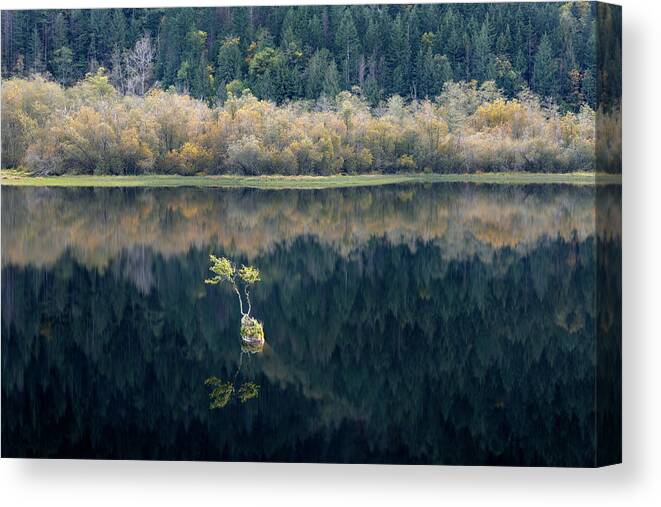 Reflections Canvas Print featuring the photograph Silver Lake Bonsai by Michael Russell