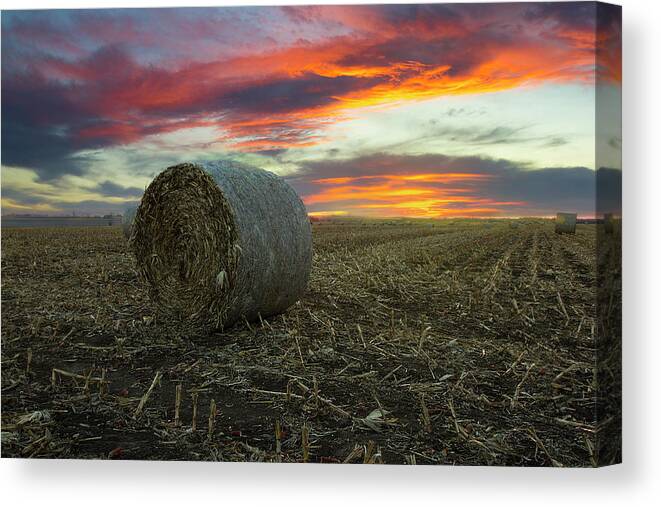 Farm Canvas Print featuring the photograph Simple Life by Aaron J Groen