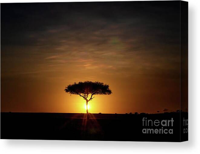 Sunrise Canvas Print featuring the photograph Single Acacia tree on the horizon at sunrise in the Masai Mara by Jane Rix