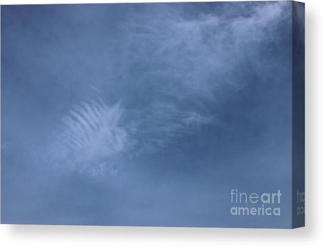 Clouds Canvas Print featuring the photograph Sky Feather by Kimberly Furey