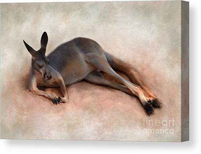 Kangourou Canvas Print featuring the mixed media Sleeping Kangaroo by Lucie Dumas