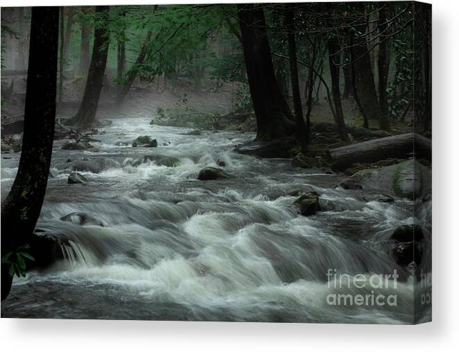 Smoky Mountains Canvas Print featuring the photograph Smoky Mountains After A Rain by Theresa D Williams