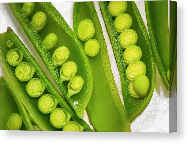 Snap Peas Canvas Print featuring the photograph Snap Peas by Karen Smale