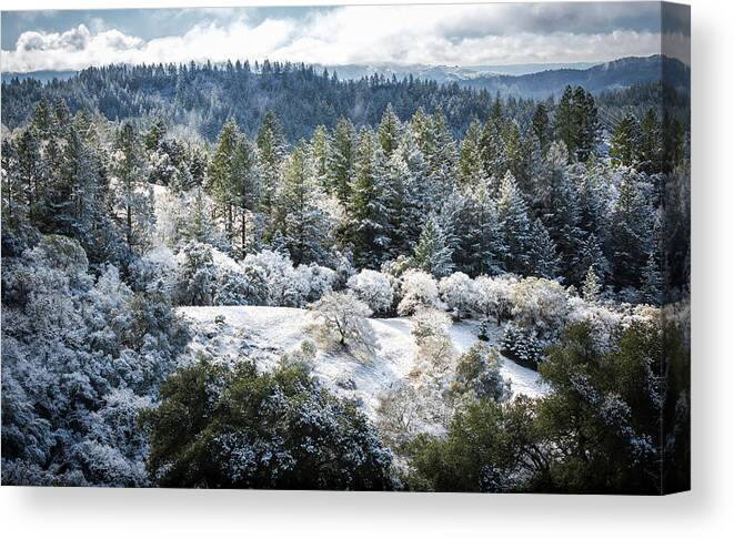 Landscapes Canvas Print featuring the photograph Enchanted by Shelby Erickson