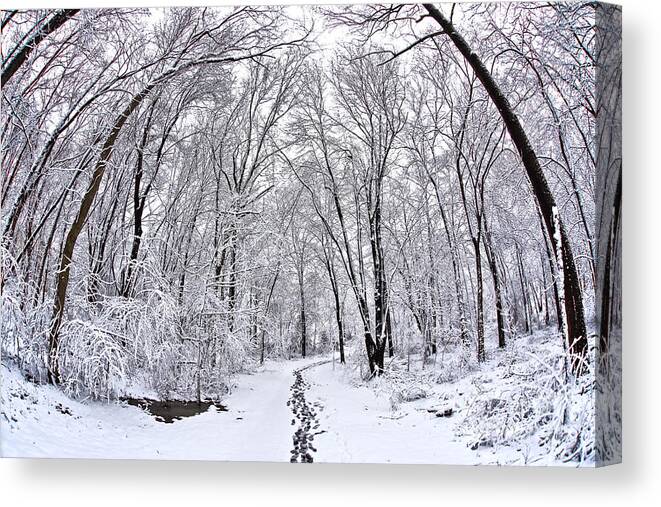 Urbana Maryland Canvas Print featuring the photograph Snowy Path In Urbana by SCB Captures