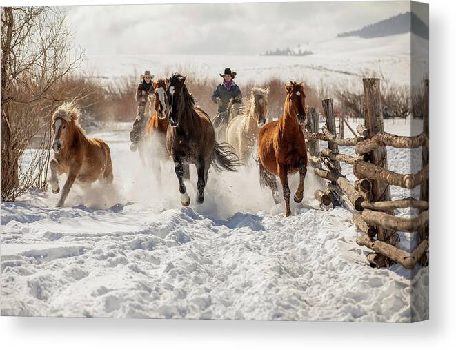 Horses Canvas Print featuring the photograph Snowy Ranch Horse Run by Dawn Key