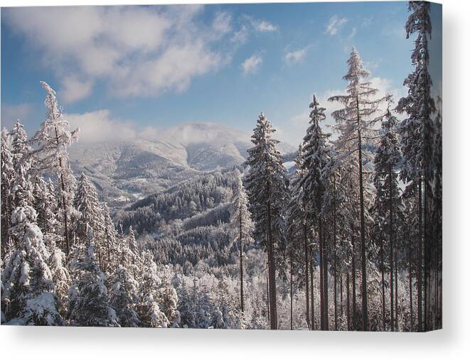 Highlands Canvas Print featuring the photograph Snowy wild landscape by Vaclav Sonnek