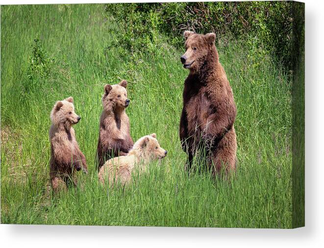 Alaska Canvas Print featuring the photograph So kids Let's start our lesson by Alex Mironyuk