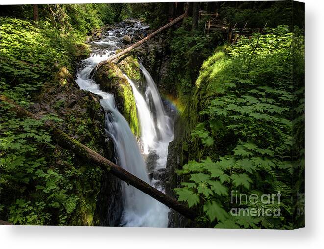 Olympic National Park Canvas Print featuring the photograph Sol Duc Falls by Erin Marie Davis