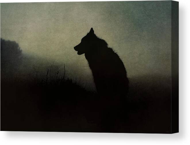 Silhouette Canvas Print featuring the digital art Solitude by Nicole Wilde