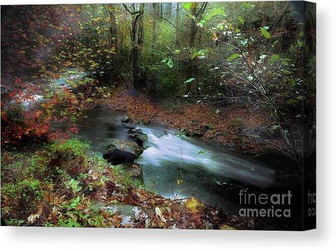 River Canvas Print featuring the photograph Solitude by Rick Lipscomb