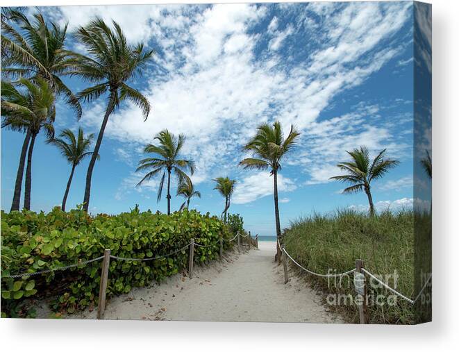 Palm Canvas Print featuring the photograph South Beach Miami, Florida Beach Entrance with Palm Trees by Beachtown Views