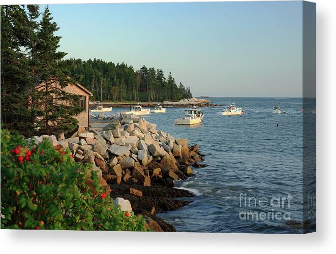 Boats Canvas Print featuring the photograph South Thomaston, Maine by Kevin Shields