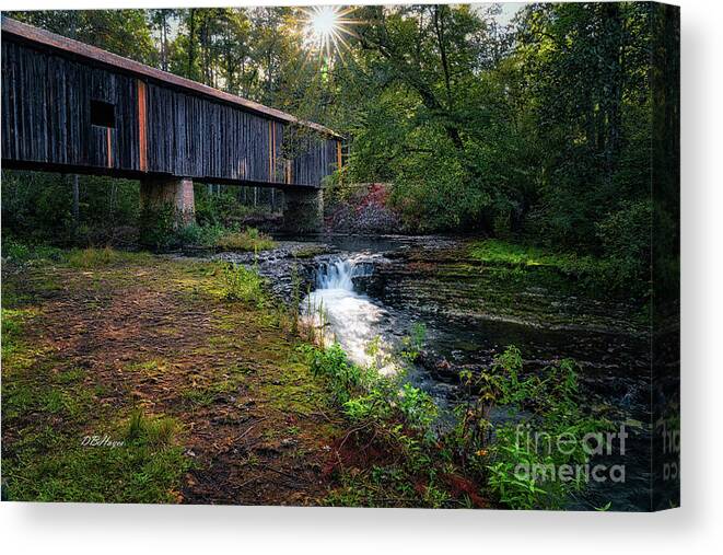 Landscapes Canvas Print featuring the photograph Southern Gem II by DB Hayes