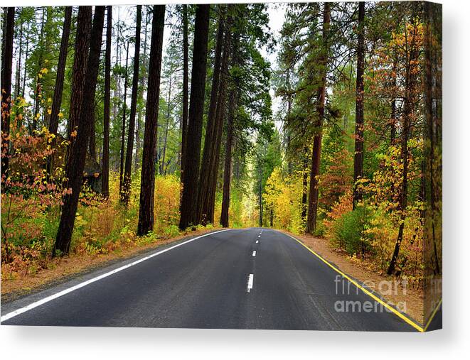 Autumn Canvas Print featuring the photograph Southside DR in Yosemite National Park by Amazing Action Photo Video