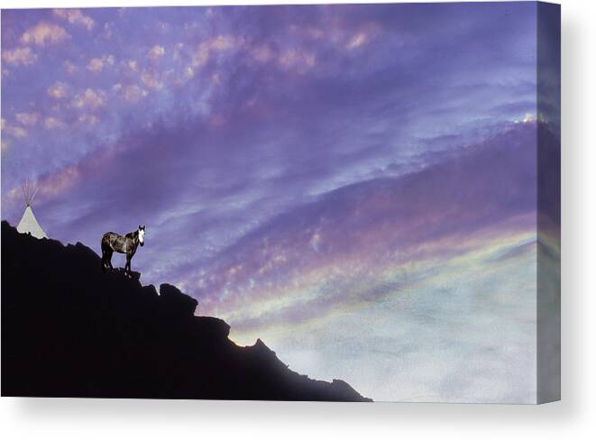 Cloud Canvas Print featuring the photograph Spirit Pony in a Setting Sun by Wayne King