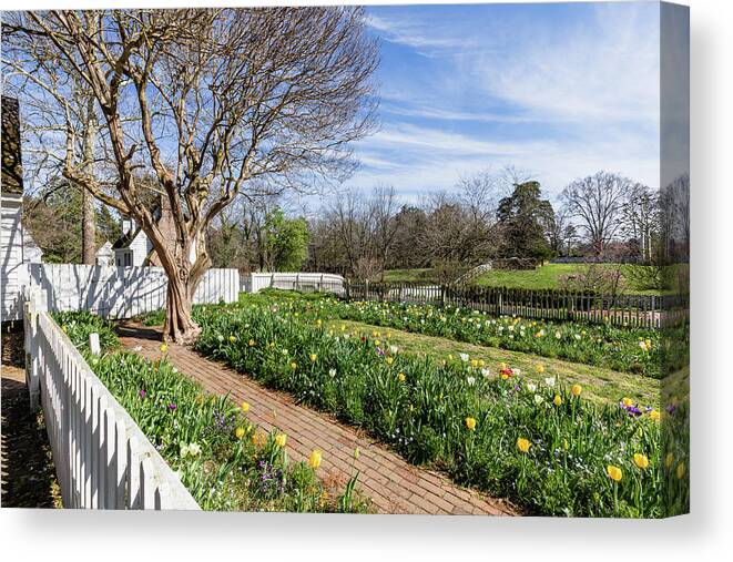 Colonial Williamsburg Canvas Print featuring the photograph Spring Afternoon in Colonial Williamsburg by Rachel Morrison