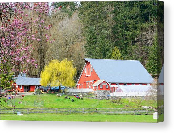 Landscape Canvas Print featuring the photograph Spring Farm by Bill TALICH