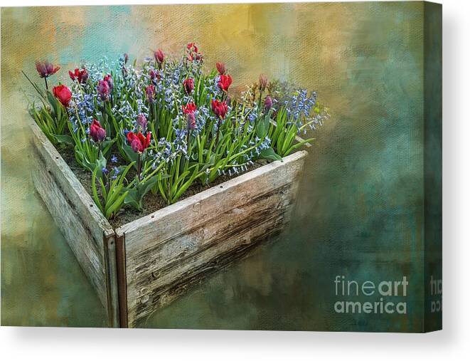 Spring Canvas Print featuring the photograph Spring In A Crate by Eva Lechner