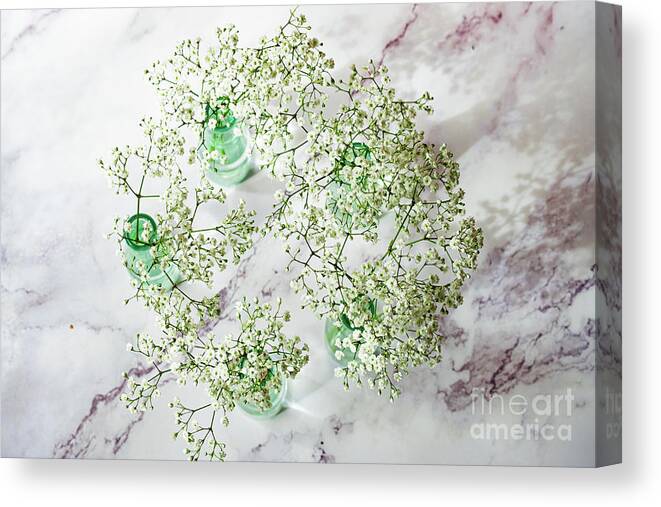 Above Canvas Print featuring the photograph Spring mood by Marina Usmanskaya
