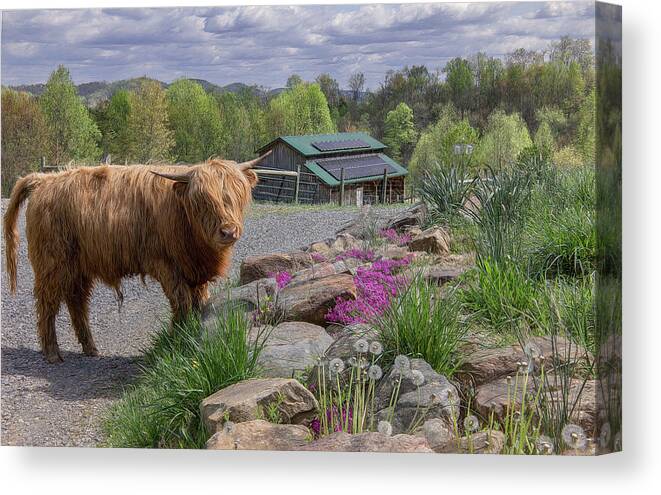 Tennessee Canvas Print featuring the photograph Springtime at Elm Hollow Farm by Marcy Wielfaert