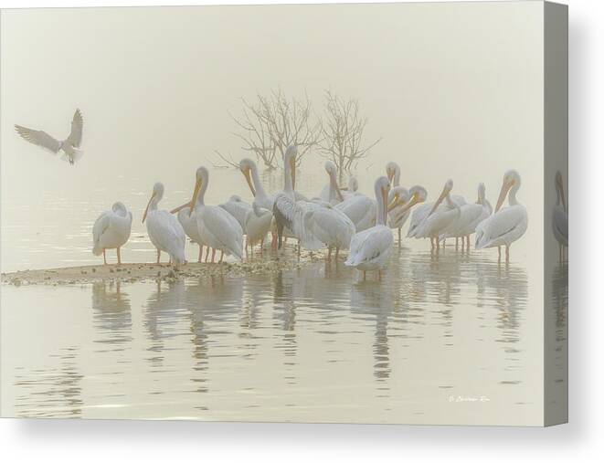 White Canvas Print featuring the photograph Squadron in the Fog by Christopher Rice