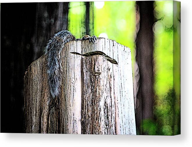 Charlotte-park Canvas Print featuring the digital art Squirrel at the Lake by SnapHappy Photos