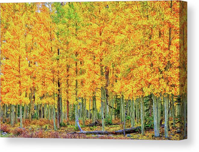 Foliage Canvas Print featuring the photograph Stand of Aspens-Digital Art by Steve Templeton