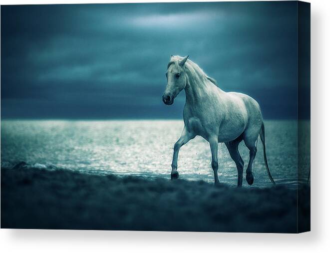 Horse Canvas Print featuring the photograph Stay - Horse Art by Lisa Saint