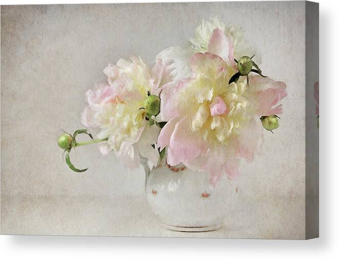Peony Canvas Print featuring the photograph Still Life With Peonies by Karen Lynch