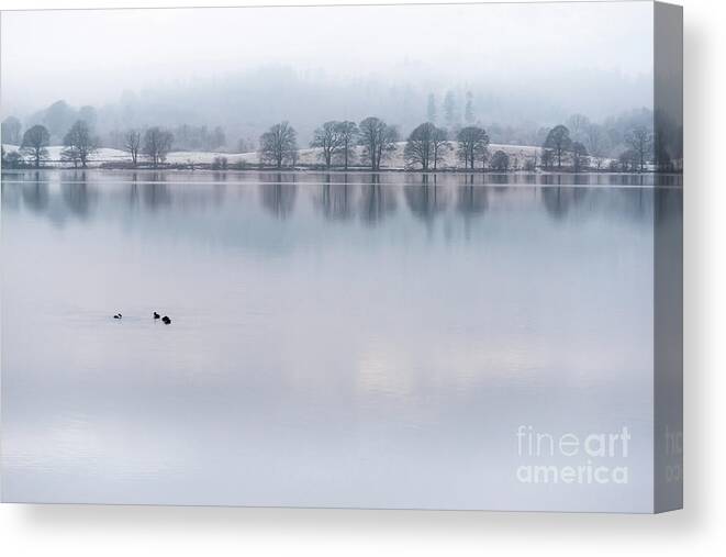 Lake District Canvas Print featuring the photograph Still Water Lake, Cumbria by Perry Rodriguez