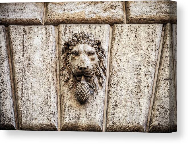 Rome Canvas Print featuring the photograph Stone lion head in Rome, Italy by Fabiano Di Paolo