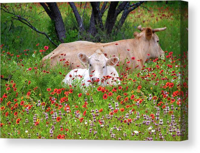 Texas Wildflowers Canvas Print featuring the photograph Stop and Smell the Wildflowers by Lynn Bauer
