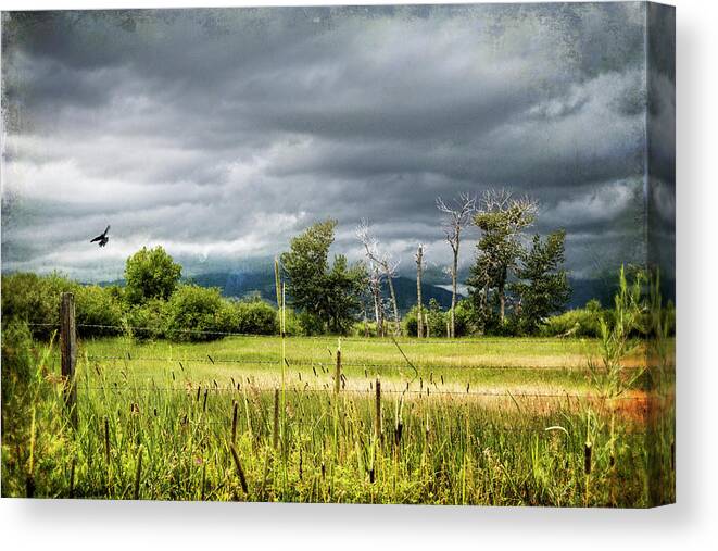 Clouds Canvas Print featuring the photograph Storms Coming by Carmen Kern