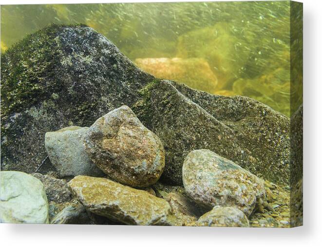 Blue Ridge Mountains Canvas Print featuring the photograph Stream Bottom by Melissa Southern