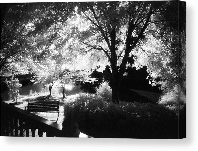 Infrared Black And White Canvas Print featuring the photograph Summer at Quiet Waters No.7 - Infrared Black and White Film Photograph by Steve Ember