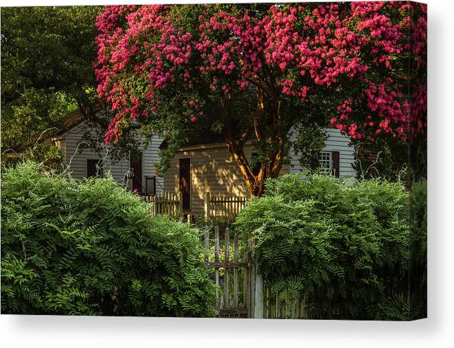 Colonial Williamsburg Canvas Print featuring the photograph Summer Sunset in a Garden by Rachel Morrison