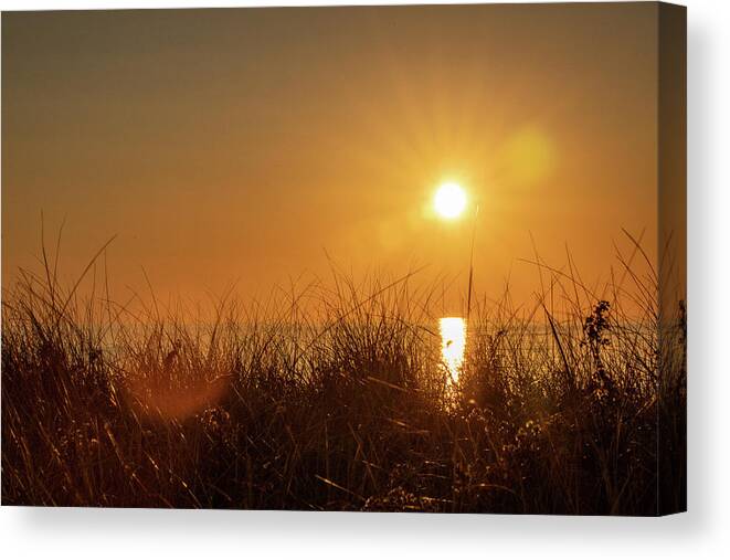 Old Canvas Print featuring the photograph Sun Rays and Flare by Denise Kopko
