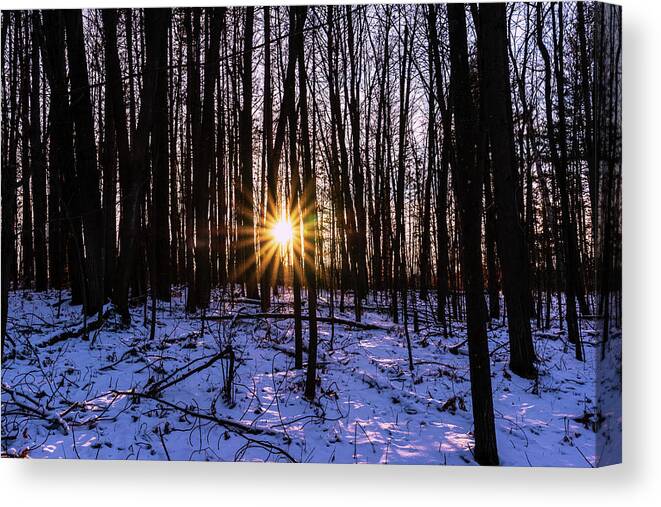 Sun Star Canvas Print featuring the photograph Sun star in winter by Nathan Wasylewski