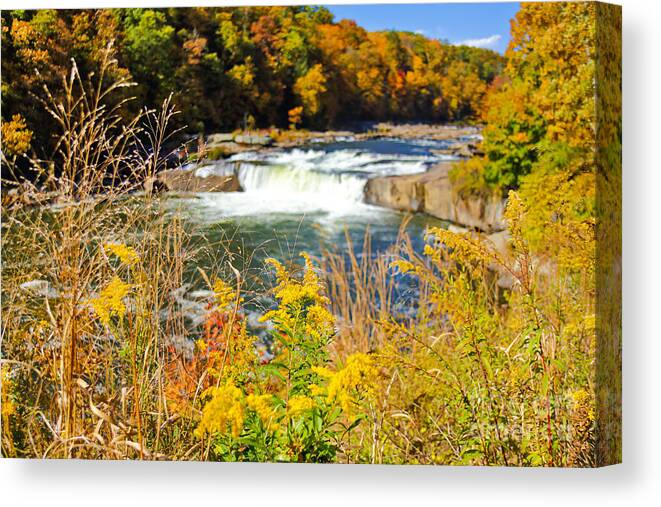 Ohiopyle Falls Canvas Print featuring the photograph Sunny Fall Day at Ohiopyle Falls by SCB Captures